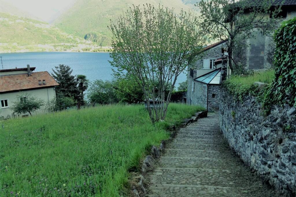 Appartamento Il Girasole Cremia Lago Di Como Exterior foto